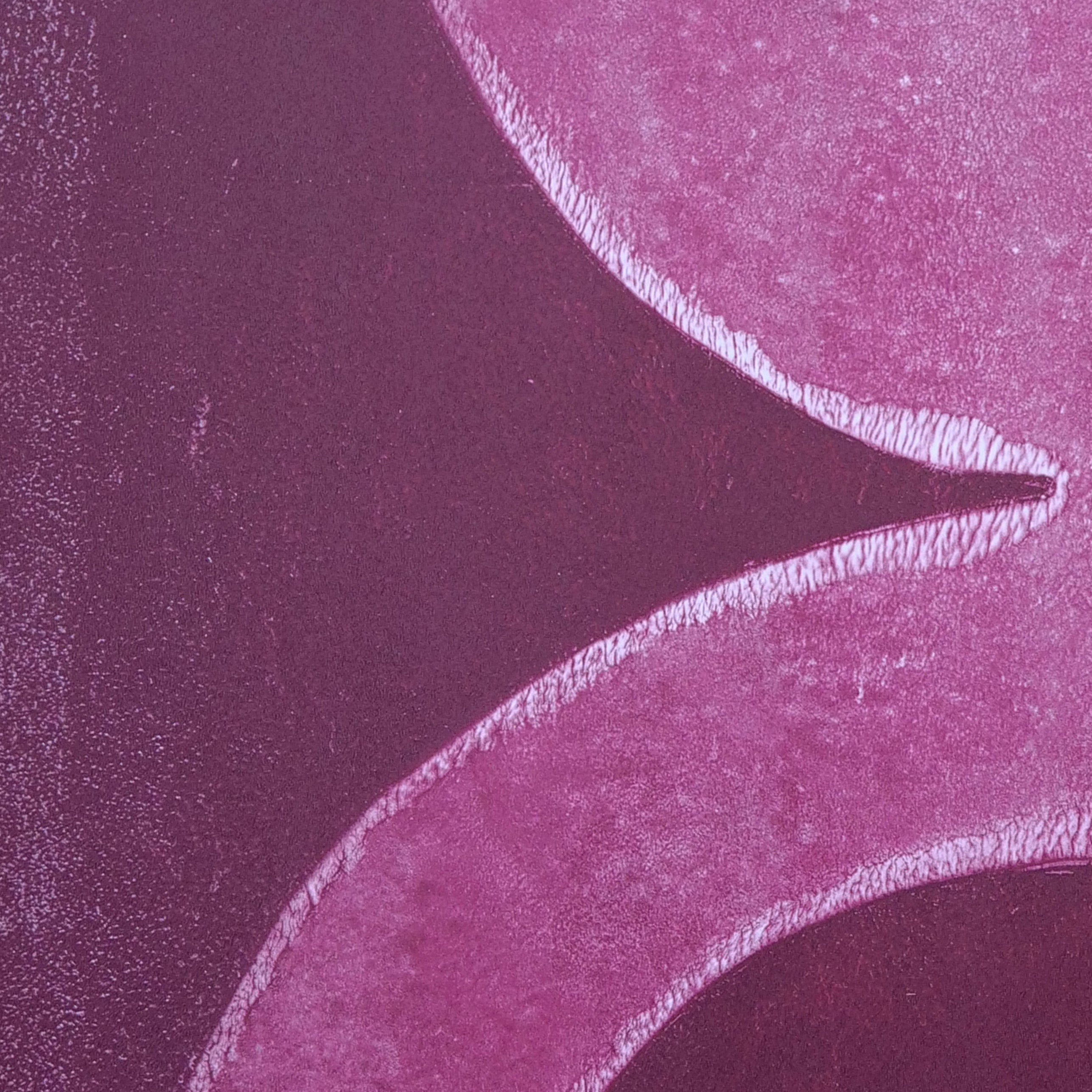 Aubergine "Kinship"