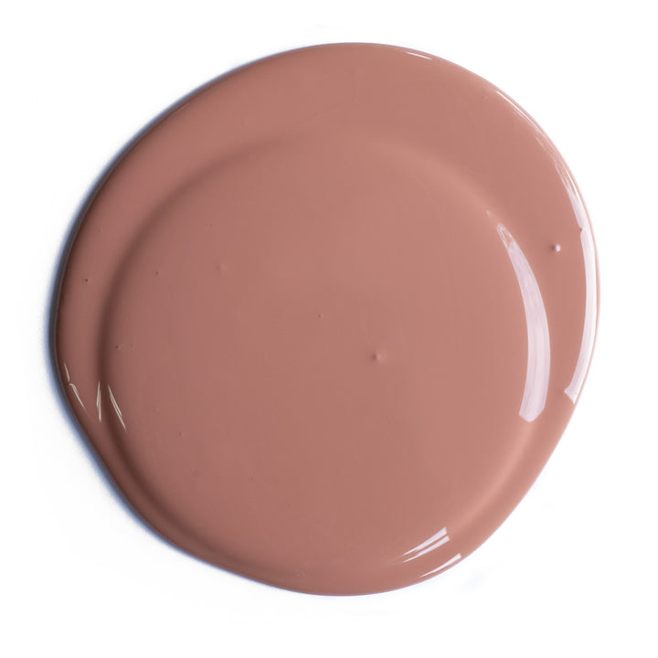 Dusty Chai Paint
