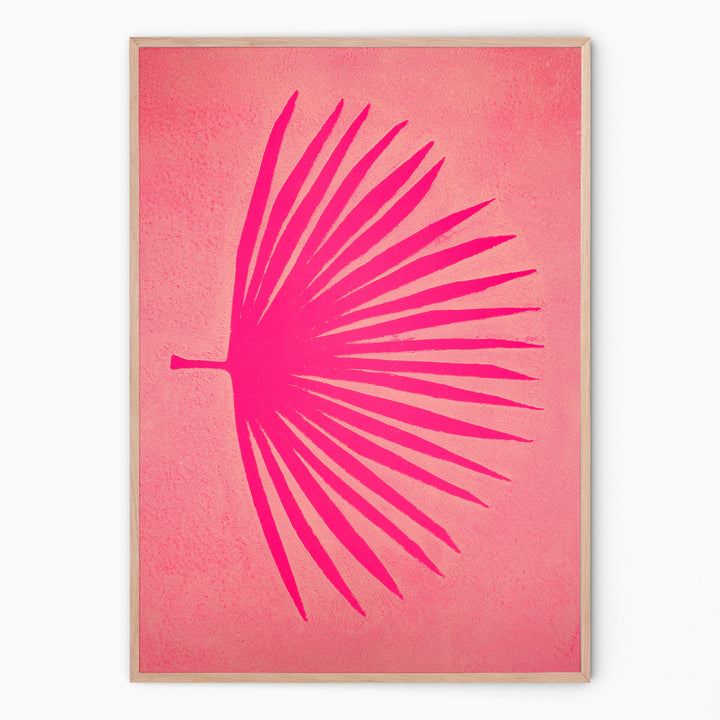 Fuchsia - La Palma Tranquila